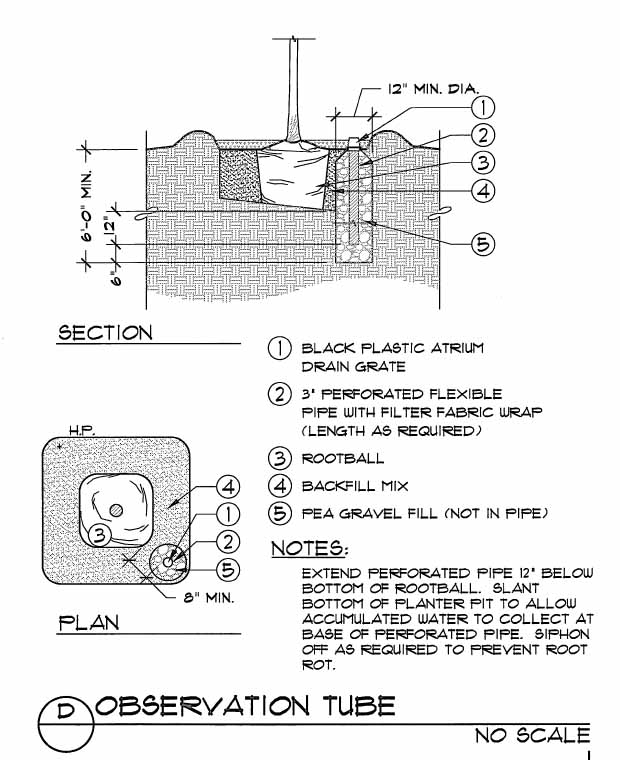 Official Palm Planting Detail DISCUSSING PALM TREES WORLDWIDE PalmTalk